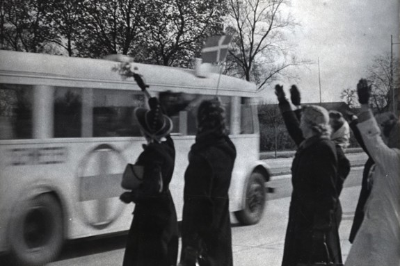 Vita bussarna. Foto: Svenska Röda Korsets mediebank