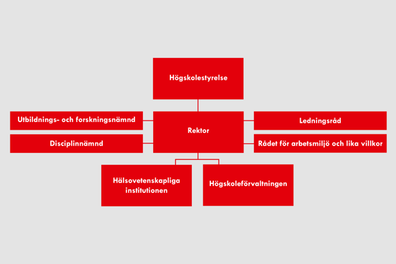 organisationskarta för Röda Korsets Högskola