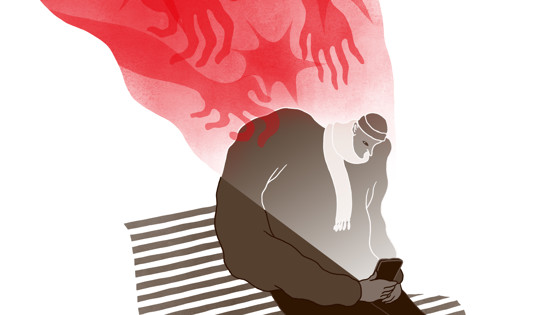 Skärmdump DN krönika