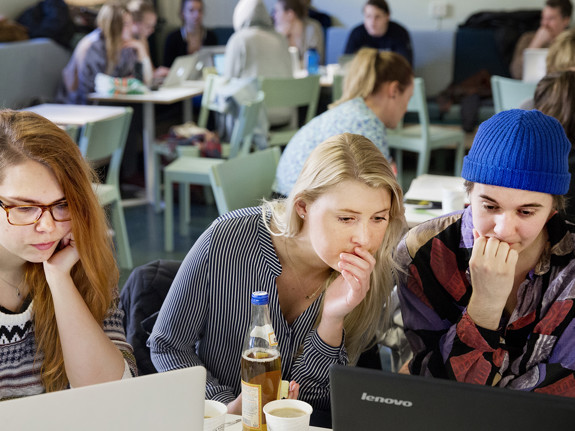 Studenter som pluggar tillsammans. Foto: Mostphotos