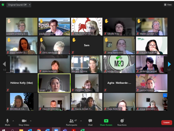Digitalt möte med Florence Network.