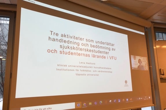 Lena Hedlund, klinisk universitetsadjunkt och huvudhandledare vid Institutet för folkhälso- och vårdvetenskap vid Uppsala universitet håller sin presentation. Foto: RKH