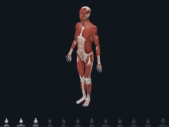 Anatomiprogrammet Complete Anatomy. Foto: Complete Anatomy