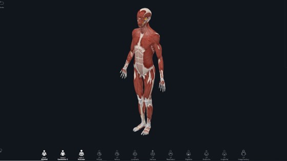 Anatomiprogrammet Complete Anatomy. Foto: Complete Anatomy