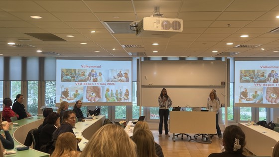 Katarina Brochard, Cecilia Häckter-Ståhl och Hanna Gabrielsson välkomnar deltagarna till VFU-dagen 2025. Foto: RKH