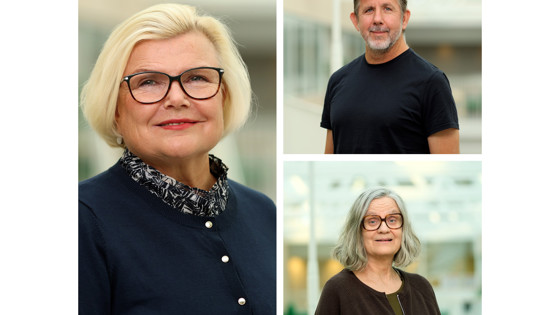 Mia Kraft, Jason Murphy och Anna Thulin vid Röda Korsets Högskola