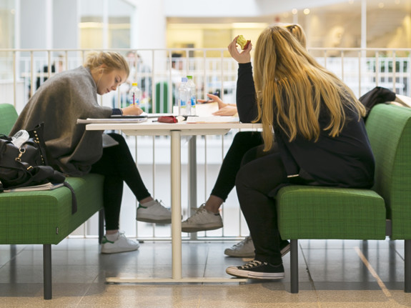 Studenter som studerar i grupp. Foto: RKH