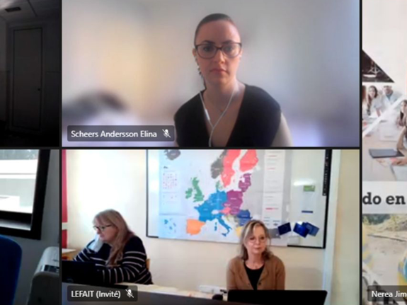 Digital konferens med Röda Korsets Högskola i Spanien.