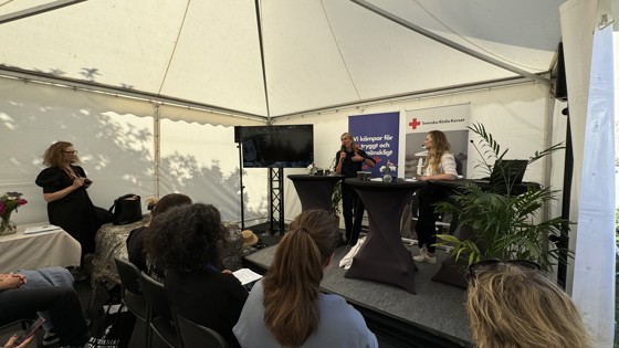 Seminarium i Almedalen