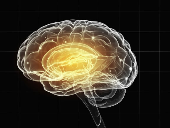 Illustration av men mänsklig hjärna. Foto: Mostphotos