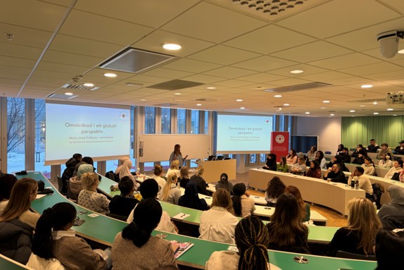 Professor Maria Jirwe