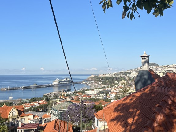 Vybild över Maderia, Portugal. Foto: Privat