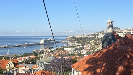 utsikt över Madeira. Foto: Privat