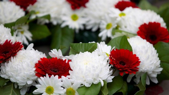 Bild av röda och vita blommor.