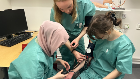 Studenter lär av studenter – peer learning på KTC. Foto: RKH