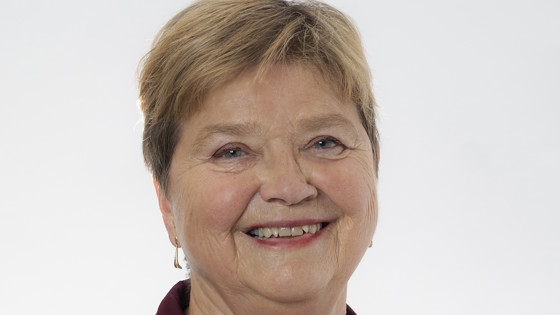 Ingegerd Palmér, Ordförande