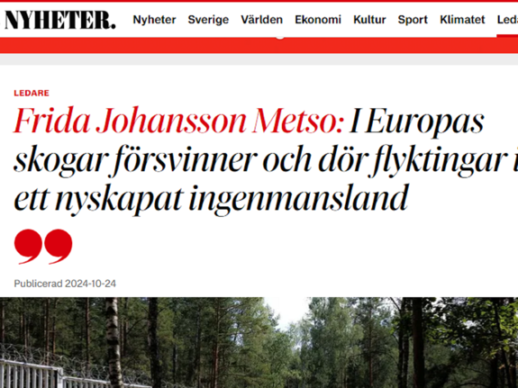 Skärmdump krönika