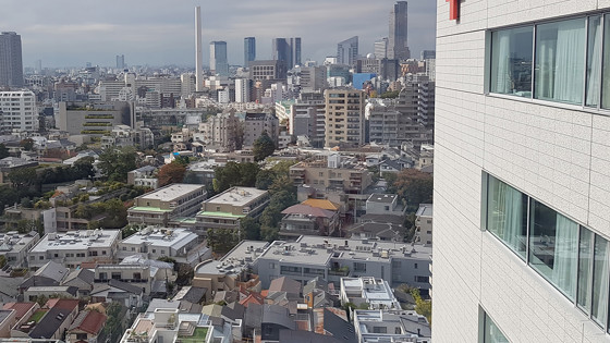 Bild från utbyte i Tokyo, Japan. Foto: Privat