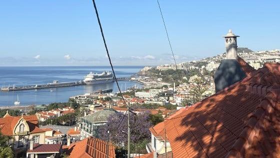 Vybild över Maderia, Portugal. Foto: Privat