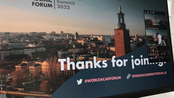 Bild från den internationella konferensen.