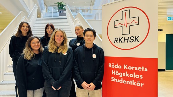 Medlemmarna i studentkåren RKHSK. Foto: RKH