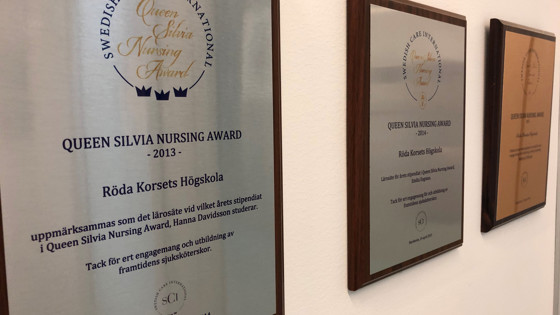 Plakat från tidigare års vinnare av Queen Silvia Nursing Award från Röda Korsets Högskola. Foto: RKH