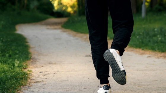 Person som jobbar i en skog. Foto:Mostphotos