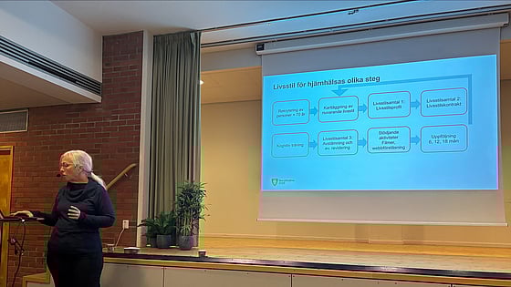 Presentation under Inspirationsdagen 2025. Foto: RKH