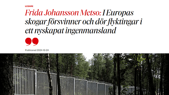 Skärmdump DN krönika