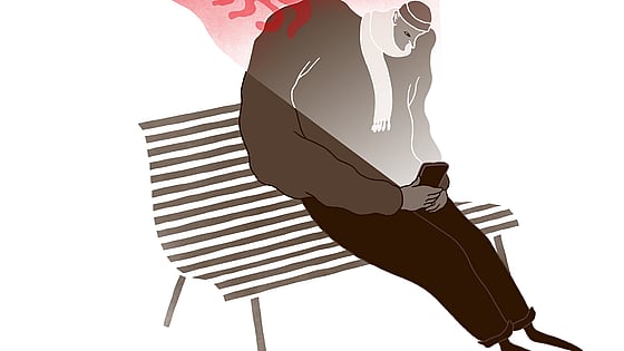 Skärmdump DN krönika