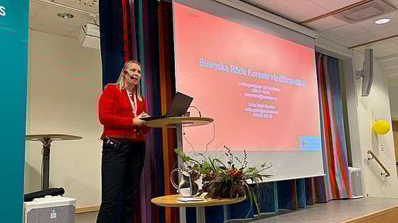 Bild från Akademisk inspirationsdag. Foto: RKH