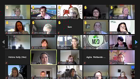 Bild av digitalt möte med Florence Network.