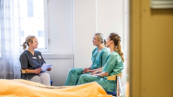 Studenter i samtal med handledare. Foto: Jenny Frejing