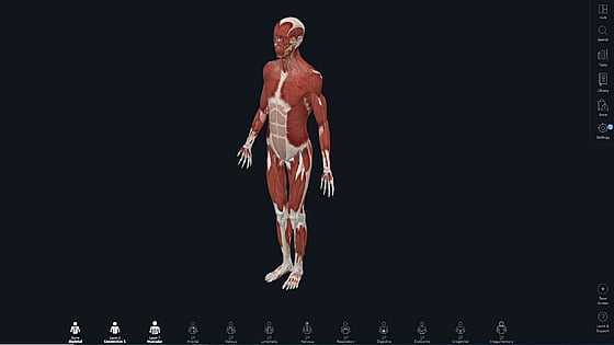 Anatomiprogrammet Complete Anatomy. Foto: Complete Anatomy