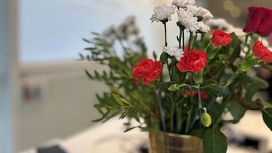 Röda och vita blommor. Foto: RKH