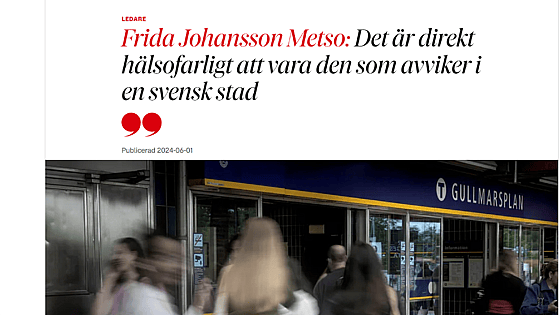 Skärmdump DN krönika