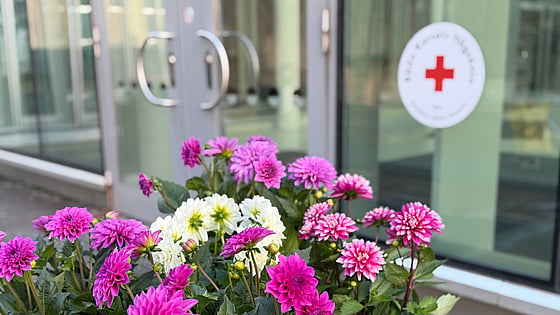 Blommor utanför entrén till Röda Korsets Högskola. Foto: RKH