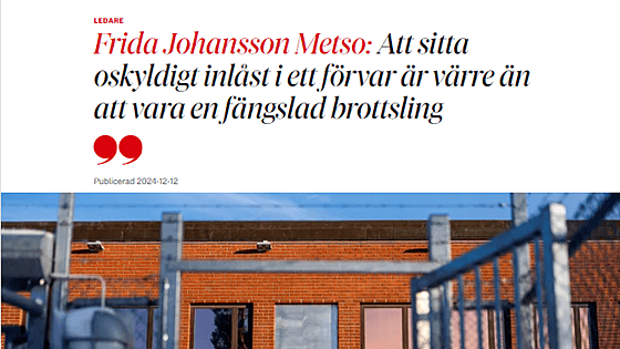 Skärmdump DN krönika