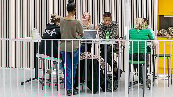 Studenter som sitter tillsammans och studerar. Foto: RKH