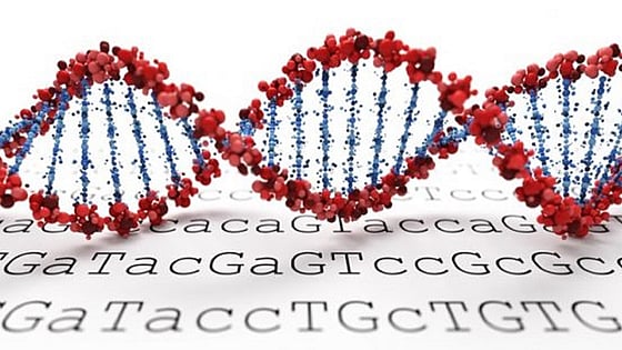 DNA-sträng. Foto: Mostphotos.