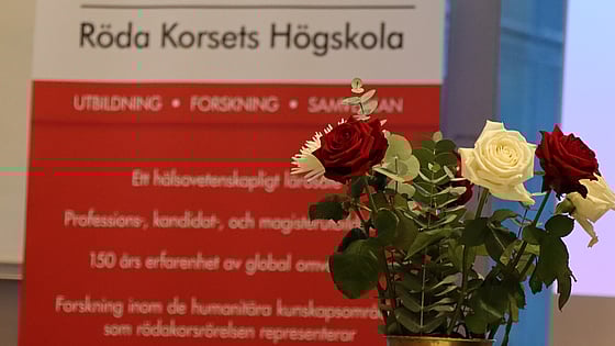 Bild av vita och röda rosor.