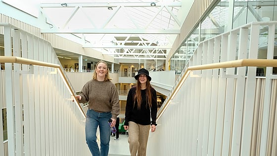 Två studenter som går i en trappa. Foto: RKH