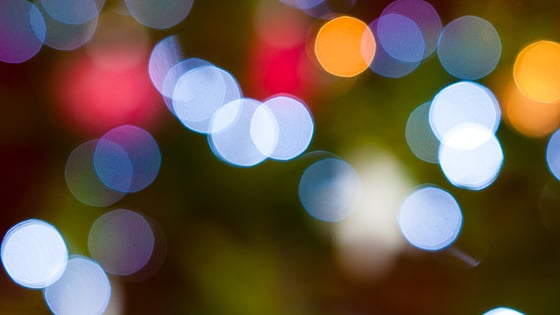 bild med kort skärpa