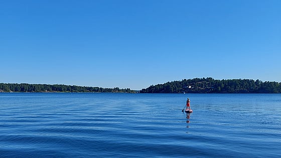 Foto av Maria Niinimaa