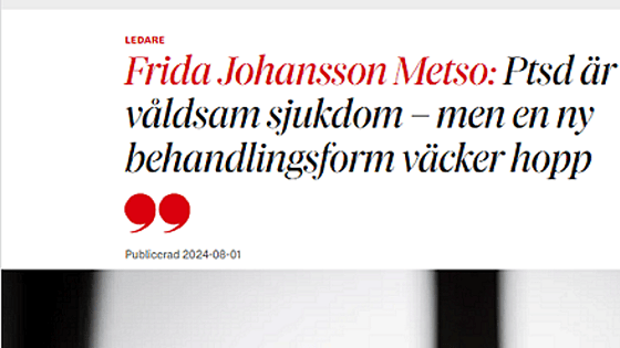 Skärmdump DN krönika