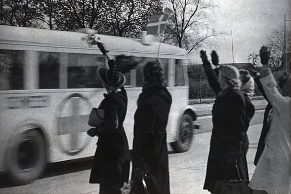 Vita bussarna. Foto: Svenska Röda Korsets mediebank