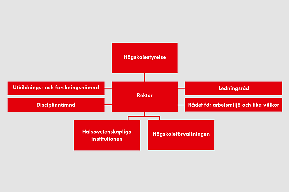 organisationskarta för Röda Korsets Högskola