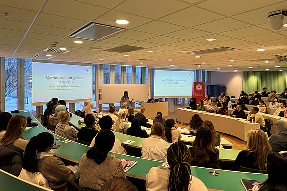 Professor Maria Jirwe