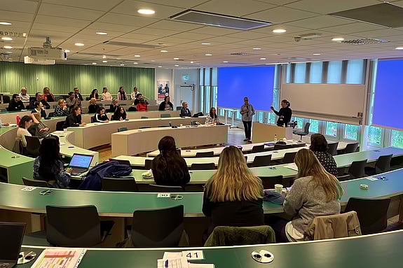 Katri Manninen, Universitetssjuksköterska, Med. dr. presenterade sitt projekt för deltagarna. Foto: RKH