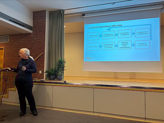Presentation under Inspirationsdagen 2025. Foto: RKH
